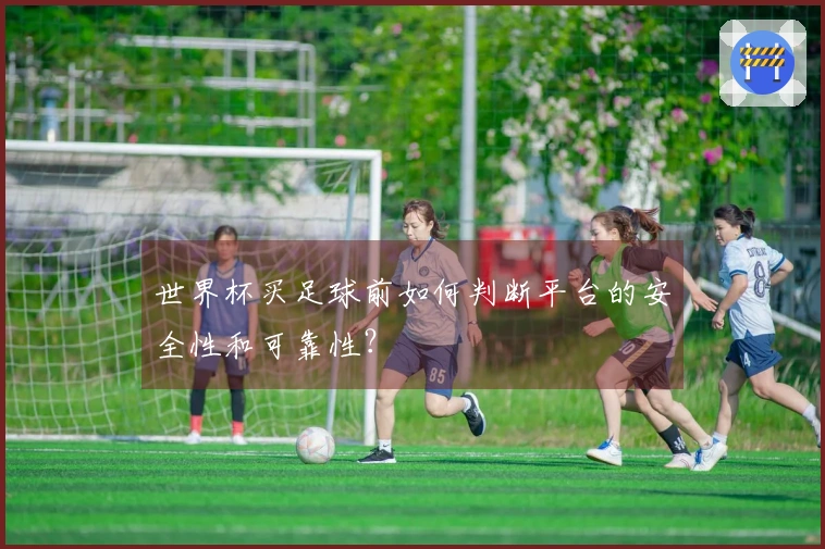 世界杯买足球前如何判断平台的安全性和可靠性？
