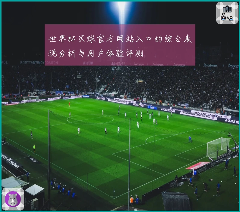 世界杯买球官方网站入口的综合表现分析与用户体验评测