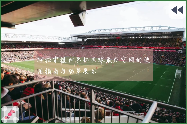 轻松掌握世界杯买球最新官网的使用指南与场景展示