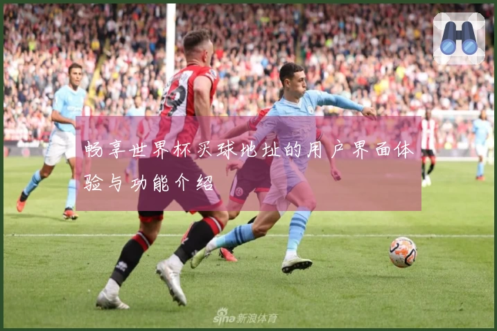 畅享世界杯买球地址的用户界面体验与功能介绍