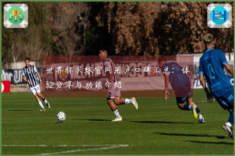 世界杯买球官网用户口碑汇总：体验分享与功能介绍