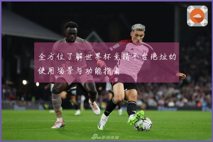 全方位了解世界杯竞猜平台地址的使用场景与功能指南