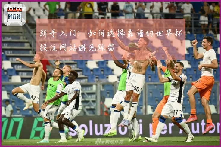 新手入门：如何选择靠谱的世界杯投注网站避免踩雷