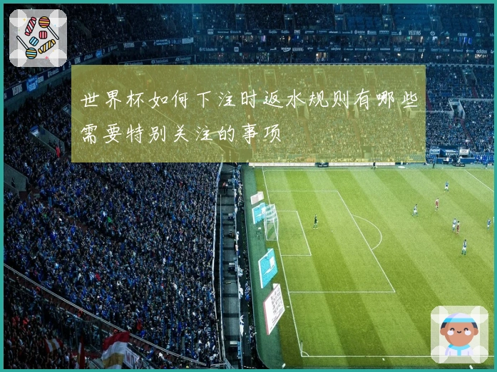 世界杯如何下注时返水规则有哪些需要特别关注的事项